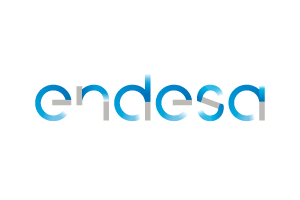 Endesa Endesa