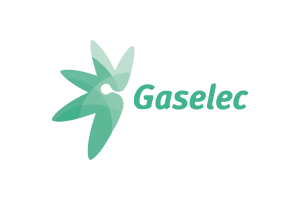 Gaselec Gaselec