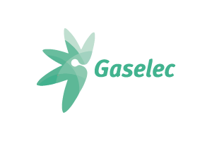 Gaselec