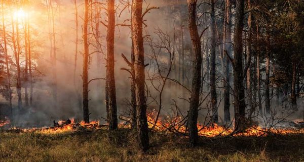 Gestión integral de Incendios