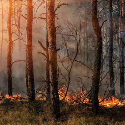 Gestión integral de Incendios