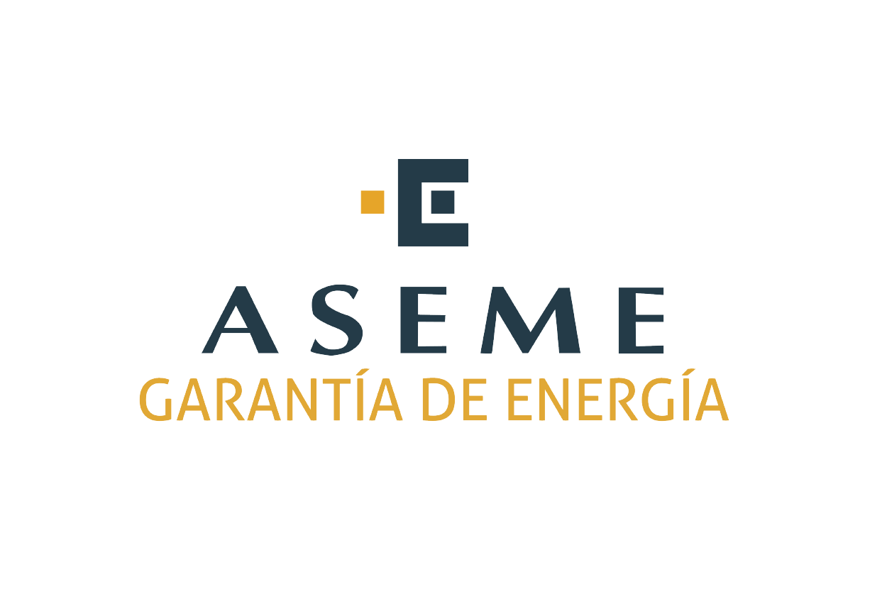 Aseme Servicios S.L. Aseme Servicios S.L.